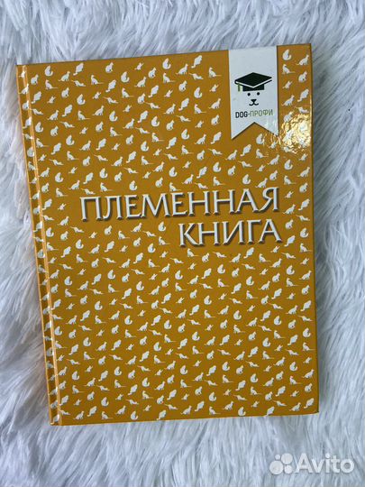 Племенная книга