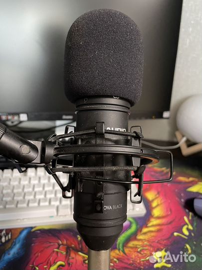 Студийный микрофон и внешняя звуковая карта