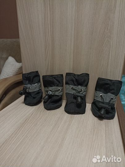 Одежда для маленьких пород собак