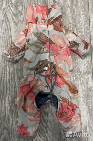 Одежда для маленьких собак (комбинезон и тд)