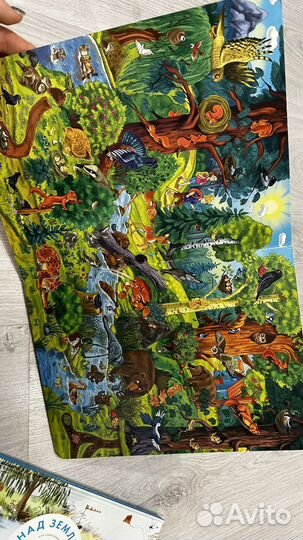 Детские книжки гляделки (окошки)