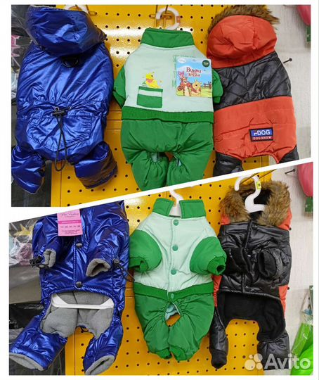 Одежда для собак