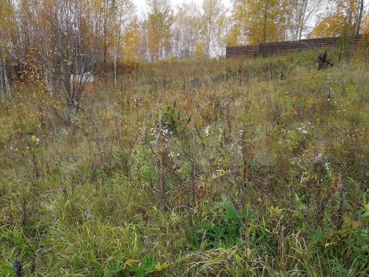 Участок 12 сот. (СНТ, ДНП)