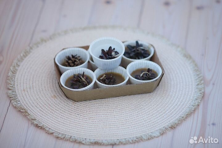 Шишки сосновые для розжига на пчелином воске