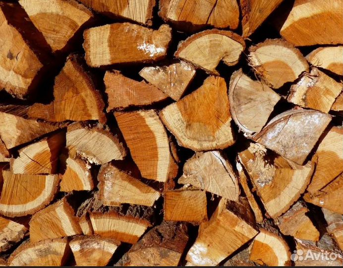Дрова осина