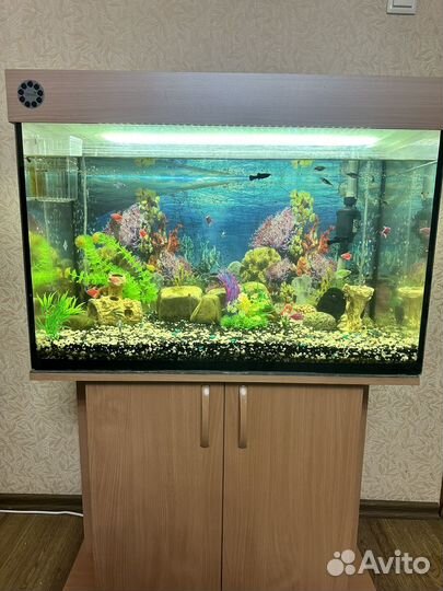 Аквариум с тумбой