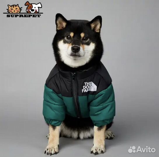 Куртка для средних собак