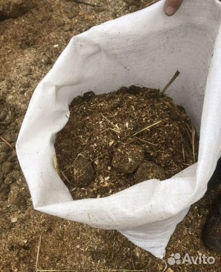 Навоз конский