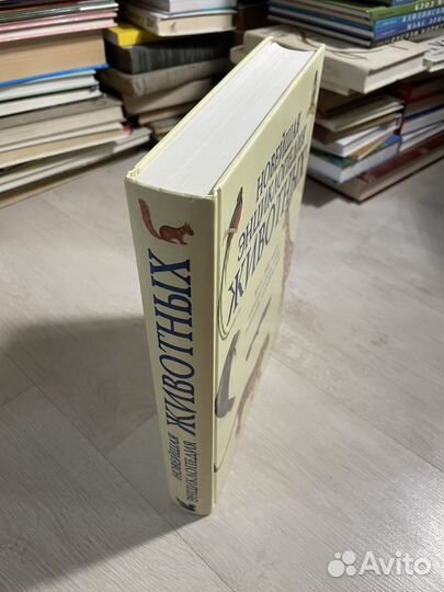 Новейшая энциклопедия животных