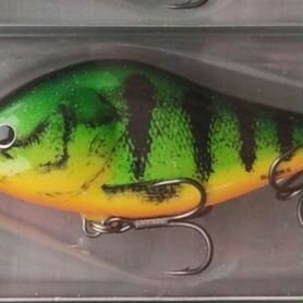 Salmo slider 6F-GFP/HGS/NAV/WRP