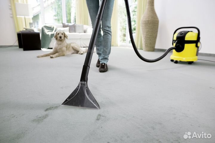 Моющий пылесос Karcher SE 4001