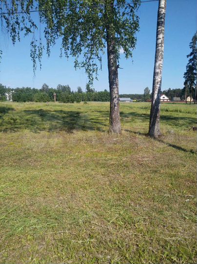 Участок 12 сот. (ИЖС)