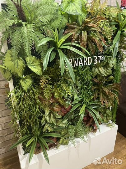 Перегородка в салон красоты