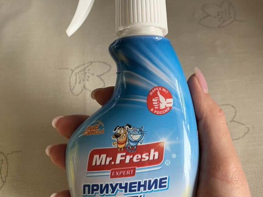 Mr Fresh Приучение к месту