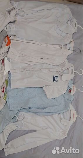 Блузки, рубашки, водолазки