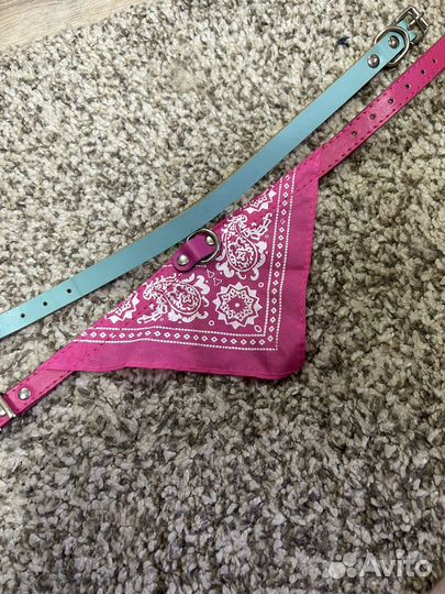 Ошейник для собак