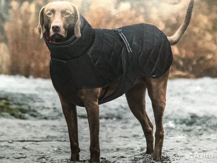 Одежда для крупных собак
