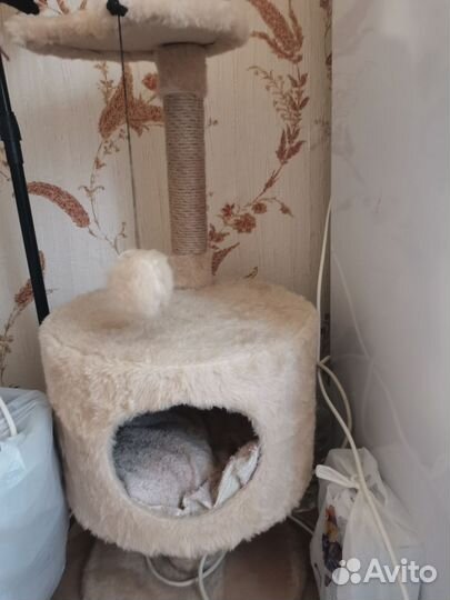 Домик для кошки бу