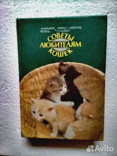 Советы любителям кошек