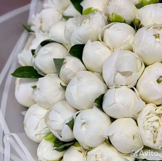 Пионы Букеты Цветы Доставка