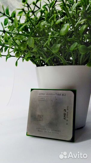 Amd Athlon 4000+