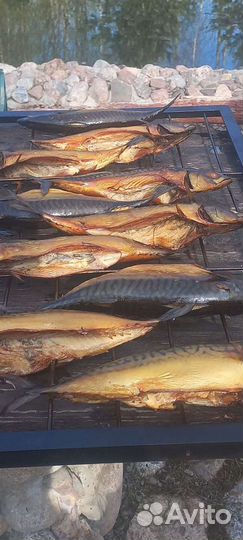 Рыба горячего копчения
