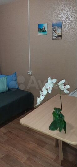 Квартира-студия, 14 м², 1/5 эт.