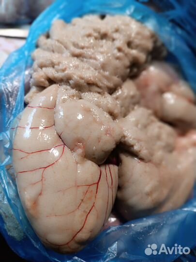 Донская рыбка