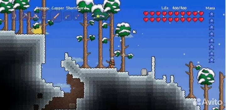 Terraria (PS4, английская версия)