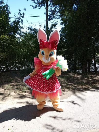 Ростовая кукла Зайка экспресс поздравление