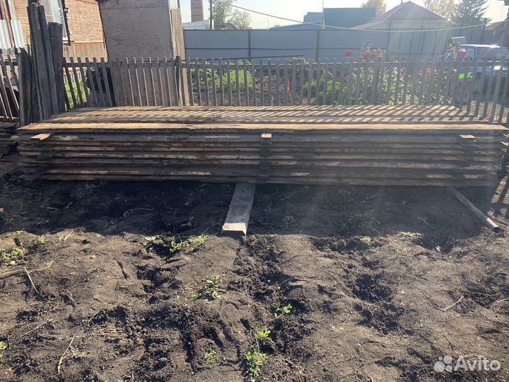 Красный лес