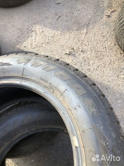 Tigar Sigura Stud 195/65 R15