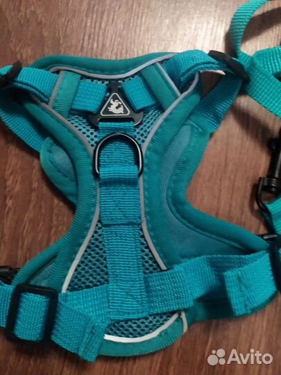 Шлейка для маленькой собаки