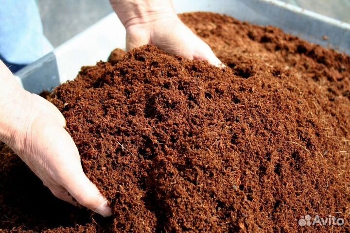 Грунт для голубики и хвойных растений
