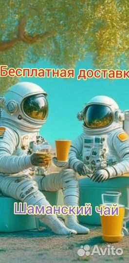 Чай пуэр « Космос шаманов » шмн13806