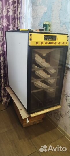 Инкубатор для яиц автоматический Бринси