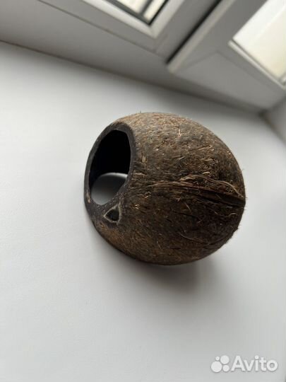 Новое укрытие для рептилий из натурального кокоса