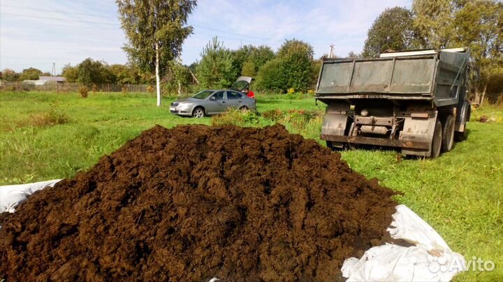 Навоз Коровий