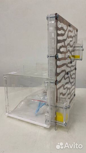 Муравьиная ферма большая