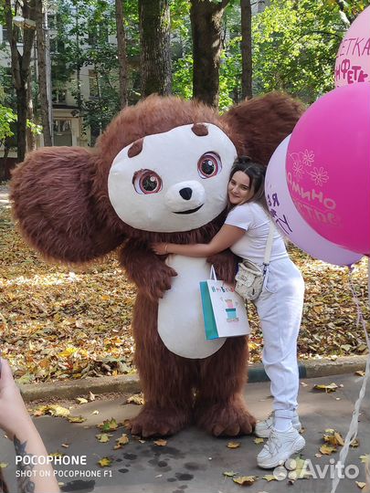 Поздравление от Белого Мишки/Чебурашки