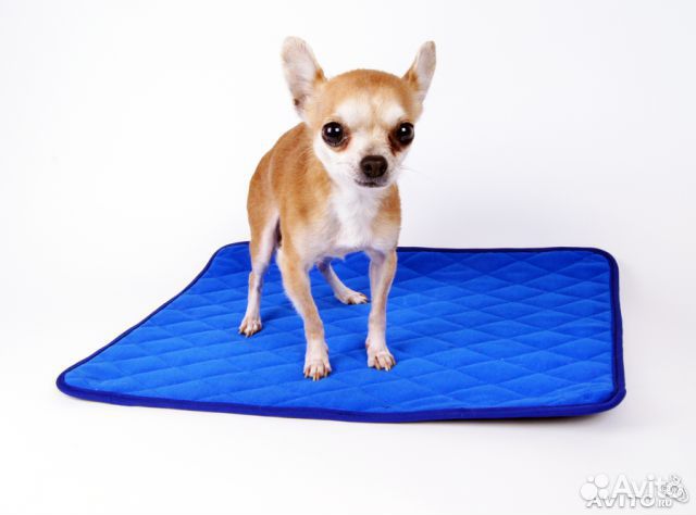 Пеленка многоразовая для собак и кошек В наличии