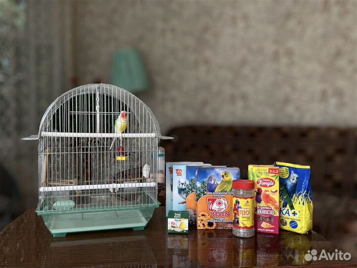 Клетка для волнистого попугая + корм