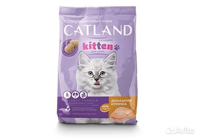 Сухой корм для кошек и котят