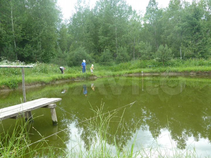 Дом 53 м² на участке 50 сот.