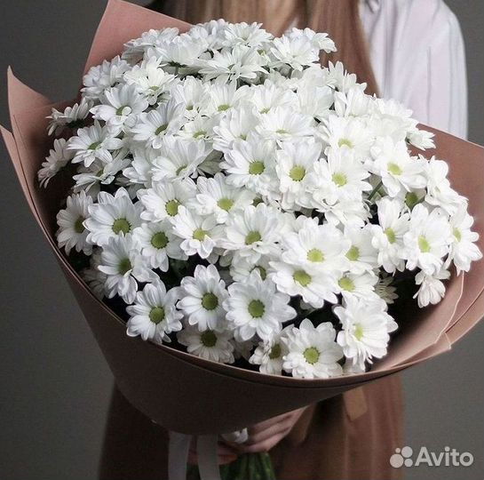 Хризантема Доставка цветов Букеты