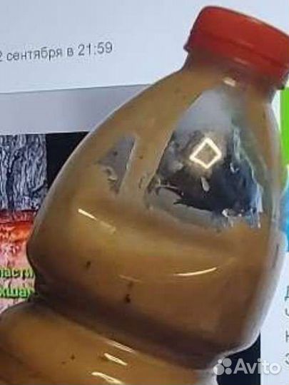 Живица сосновая для балхам и мази