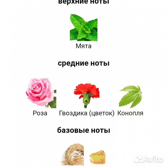 Florabotanica balenciaga/оригинал/делюсь