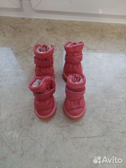 Куртка и ботинки для собаки