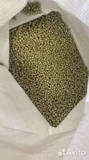 Семена гороха Мадрас. Для микрозелени. Оптом