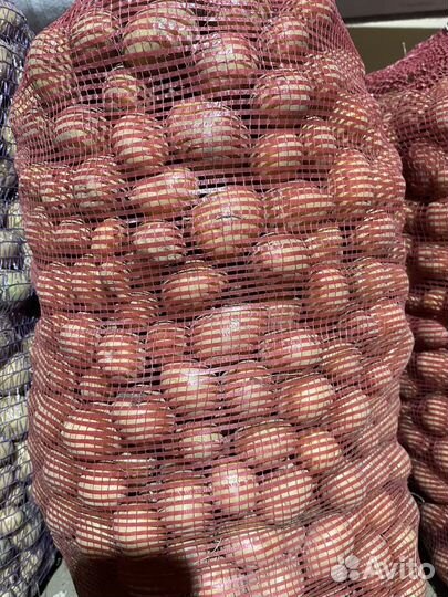 Картофель мелкий